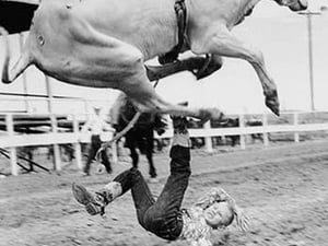 Big Fall from Brahma Bull - Art Print