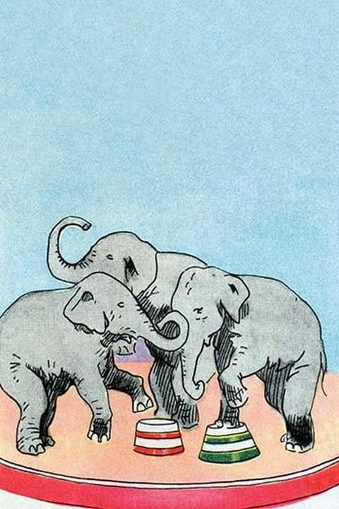 Three Elephants by Julia Letheld Hahn - Art Print