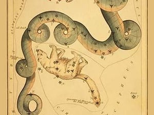 Draco and Ursa Minor by Aspin Jehosaphat - Art Print