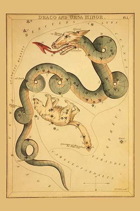 Draco and Ursa Minor by Aspin Jehosaphat - Art Print