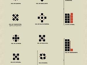 Examples of Isomerism by Edward L. Youmans - Art Print