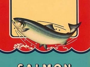 Salmon - Art Print
