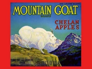 Mountain Goat Chelan Apples - Art Print