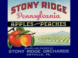 Stony Ridge Pennsylvania Apples and Peaches - Art Print