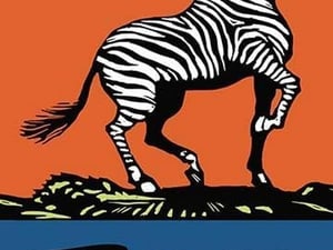 Z is for Zebra by Charles Buckles Falls - Art Print