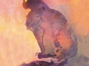 Chat Pourpre by Theophile Alexandre Steinlen - Art Print
