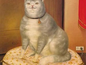 Grey Cat on a Pillow - Art Print