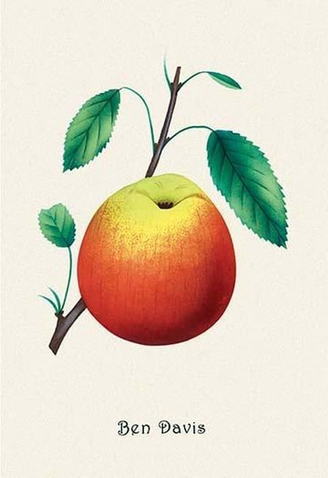 Ben Davis Orange - Art Print