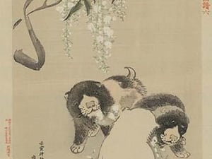 Dogs - Art Print