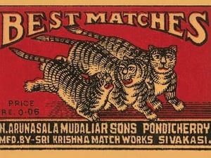 Three Tiger - Best Matches - Art Print