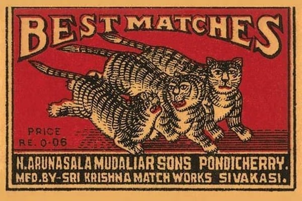 Three Tiger - Best Matches - Art Print