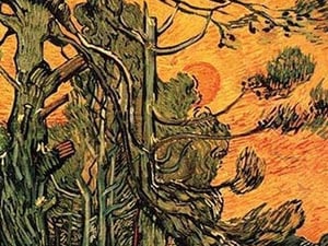 Pine Trees against a Red Sky with Setting Sun by Vincent van Gogh - Art Print