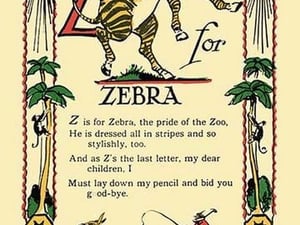 Z for Zebra by Tony Sarge - Art Print