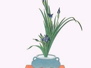 Kakitsubata (Iris Laevigata) in a Tsubo by Josiah Conder - Art Print