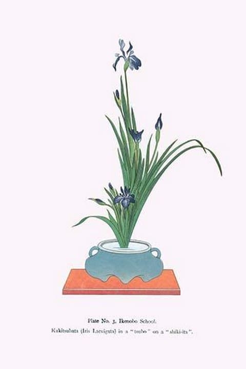 Kakitsubata (Iris Laevigata) in a Tsubo by Josiah Conder - Art Print