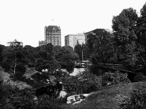 The Pond in Central Park