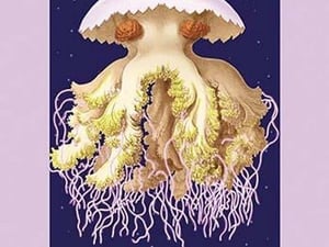 Jabberwocky by Lewis Carroll - Art Print