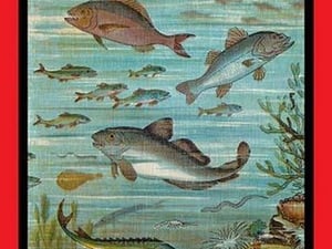 Fish Pond 2 - Art Print