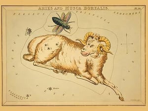 Aries and Musca Borealis by Aspin Jehosaphat - Art Print