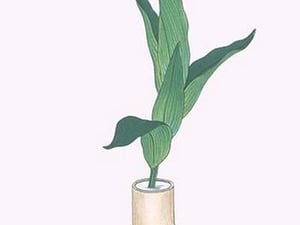 Haran (Five Aspidistra Leaves) in Bamboo vase by Josiah Conder #2 - Art Print