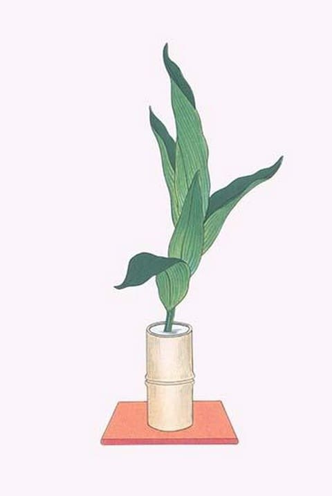 Haran (Five Aspidistra Leaves) in Bamboo vase by Josiah Conder #2 - Art Print