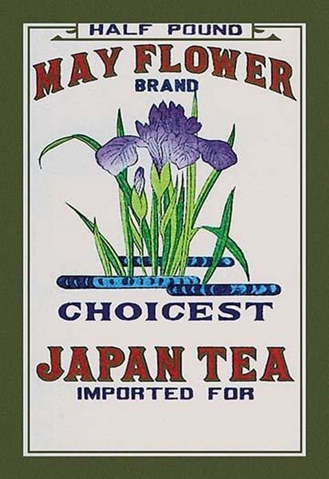 May Flower Brand Tea - Art Print