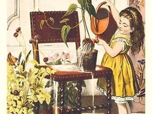 Watering - Art Print
