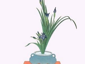 Kakitsubata (Iris Laevigata) in a Tsubo by Josiah Conder #2 - Art Print