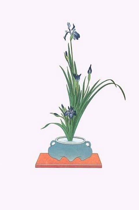 Kakitsubata (Iris Laevigata) in a Tsubo by Josiah Conder #2 - Art Print