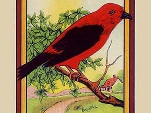 Supreme Broom Label - Art Print
