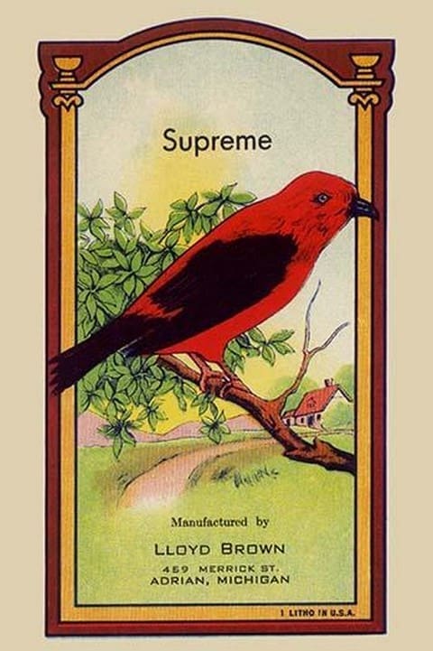 Supreme Broom Label - Art Print