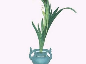 Ichihatsu (Iris Tectorum) in three legged isubo by Josiah Conder - Art Print