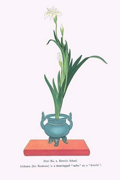 Ichihatsu (Iris Tectorum) in three legged isubo by Josiah Conder - Art Print