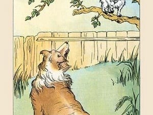 Cat in the Tree by Frances Beem - Art Print