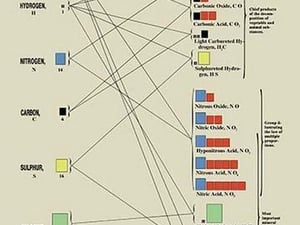 Metalloids And Their Compounds by Edward L. Youmans - Art Print