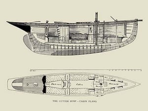The Cutter Surf