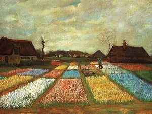 Flower Beds of Holland by Vincent van Gogh - Art Print