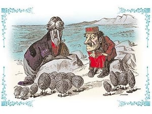 Through the Looking Glass: Walrus