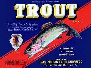 Trout Brand Apples - Art Print