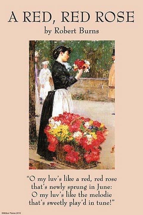A Red Rose by Robert Burns - Art Print