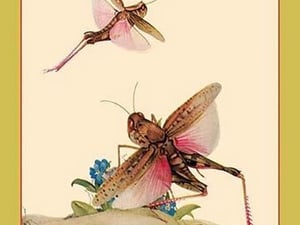 Italian Locusts by Edward Detmold - Art Print