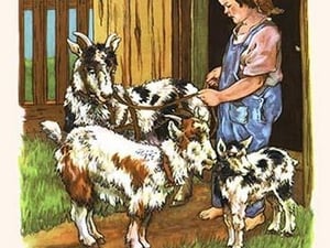 Bobby & His Goats by Bird & Haumann - Art Print