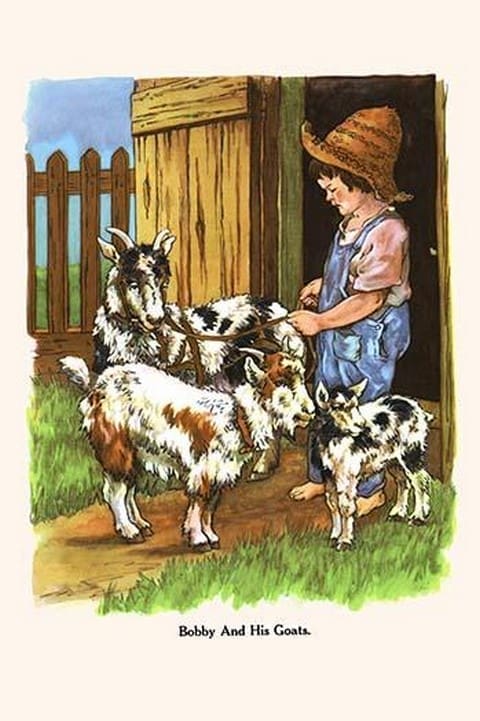 Bobby & His Goats by Bird & Haumann - Art Print