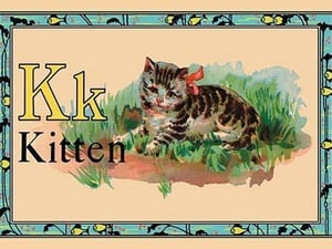 Kitten - Art Print