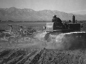 Benji Iguchi Driving Tractor in Field by Ansel Adams - Art Print