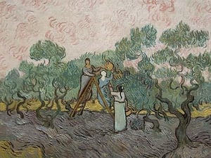 Women Picking Olives by Vincent van Gogh - Art Print