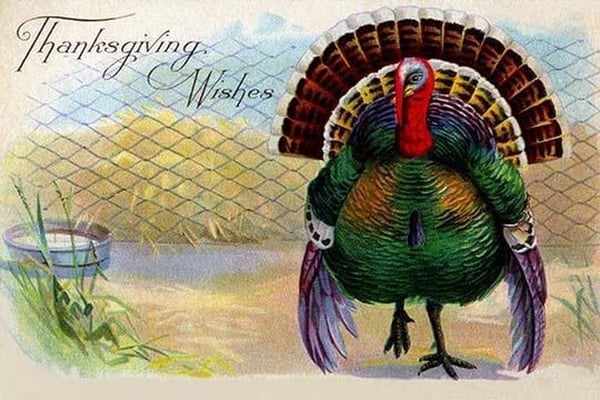Thanksgiving Wishes - Art Print