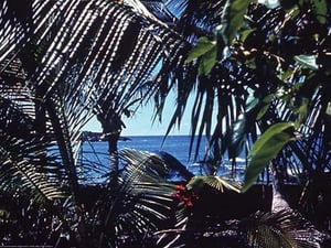 Hawaii by James P. McVey - Art Print
