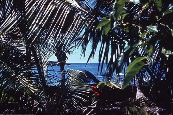 Hawaii by James P. McVey - Art Print