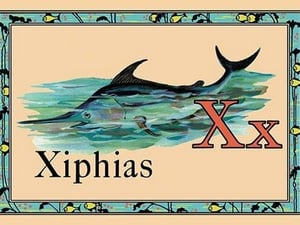 Xiphias - Art Print